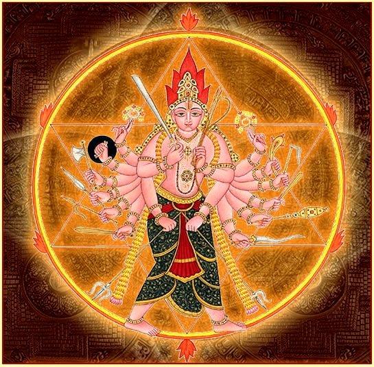 Sudarshana Homa Samagri Kit